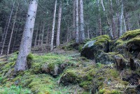 /album/fotogaleria/img-9212-masolata-jpg/